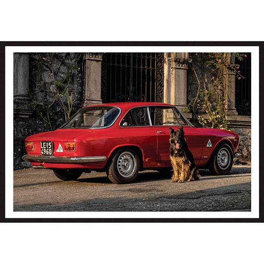 Poster Alfa Romeo Giulia GT Junior Back