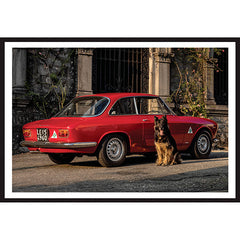 Poster Alfa Romeo Giulia GT Junior Back