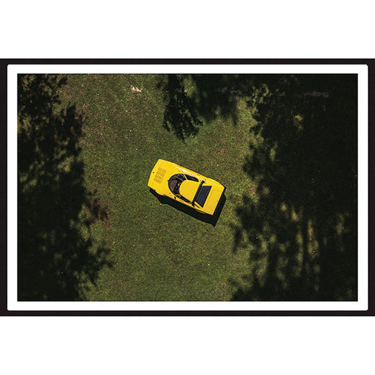 Poster Lancia Stratos Vista Alto