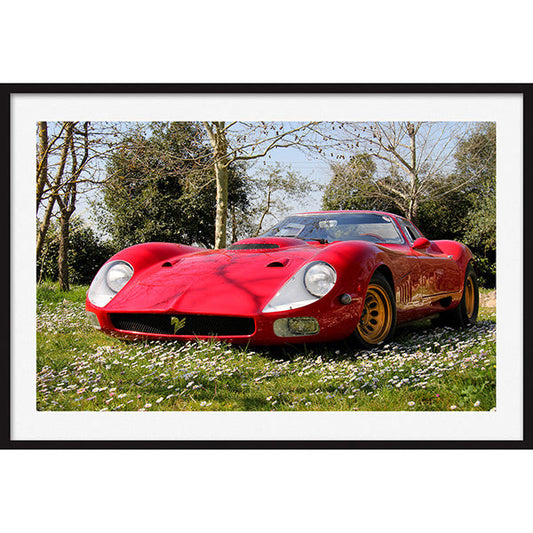 Poster Marciano 268A