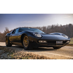 Stampa su Tela: Lamborghini Miura – 120x80cm