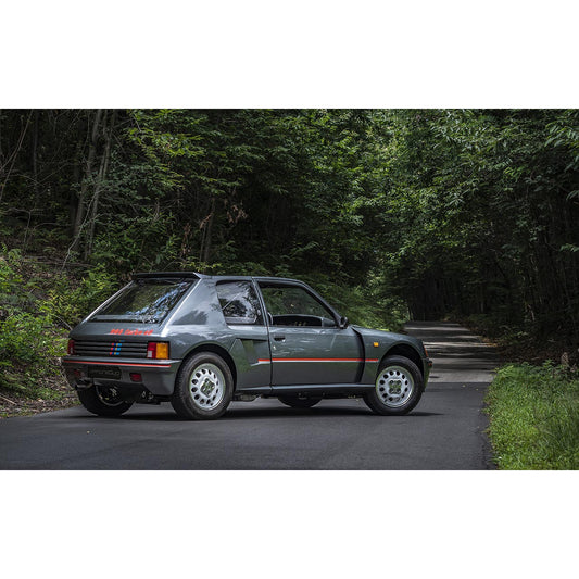 Stampa su Tela: Peugeot 205 Turbo 16  – 120x80cm