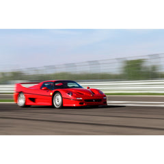 Stampa su Tela: Ferrari F50 (Front View) – 120x80cm